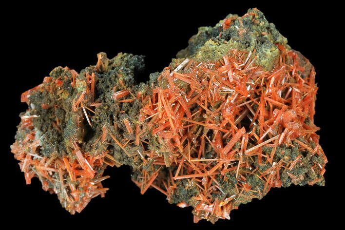 Bright Orange Crocoite Crystal Cluster - Tasmania #127950
